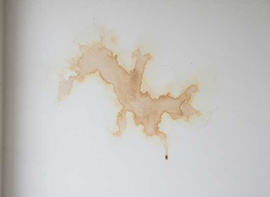 Kako prepoznati curenje vode u zidovima