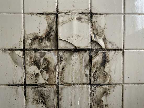 Kako prepoznati vlagu iza pločica