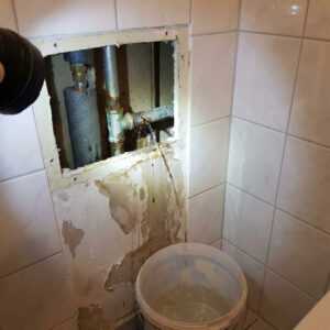 Šta raditi kada voda šumi