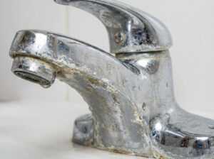 Zašto se kamenac skuplja