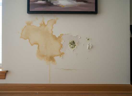 Kako prepoznati curenje vode u zidu 